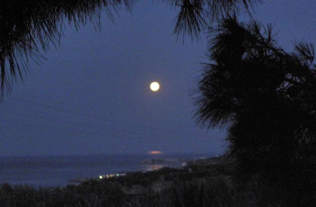 Studios Crete แฟร์มา ภายนอก รูปภาพ
