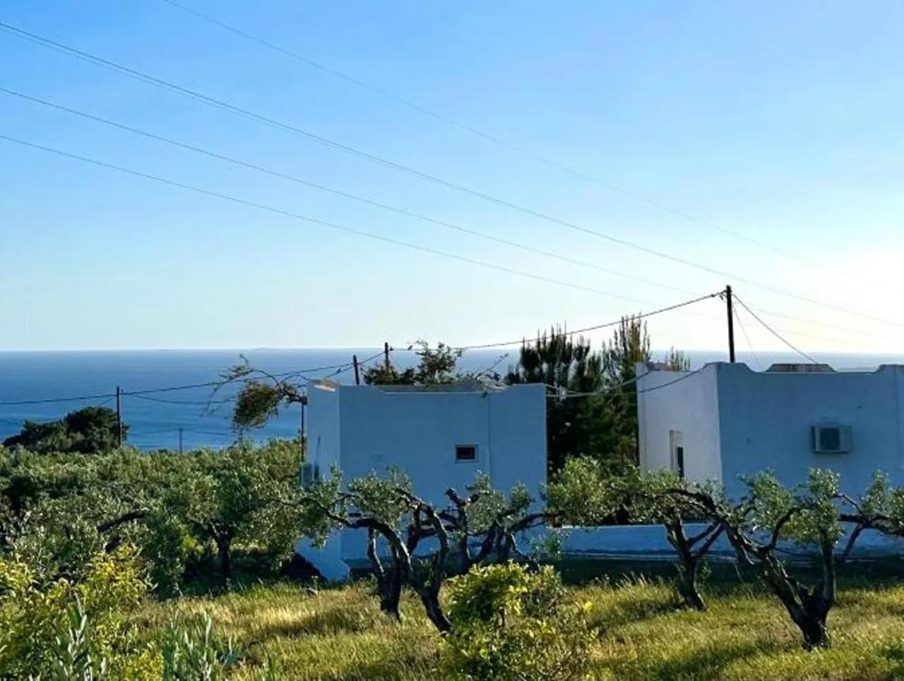 Studios Crete แฟร์มา ภายนอก รูปภาพ